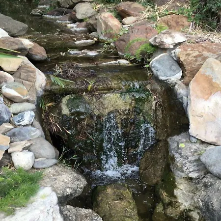 Daire Jardines De Golondrinas Marbella