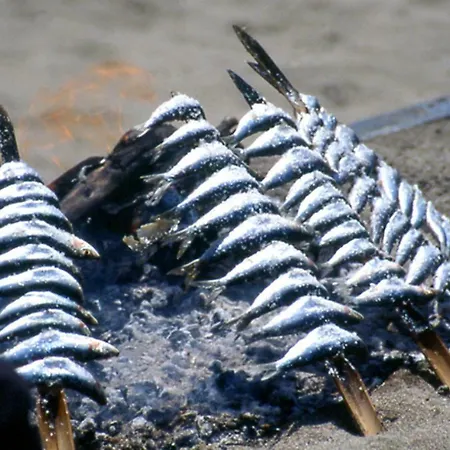 Jardines De Golondrinas *