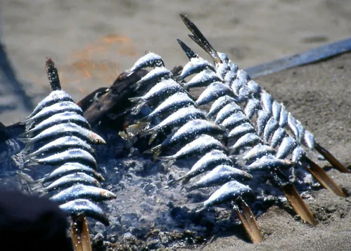 Jardines De Golondrinas *